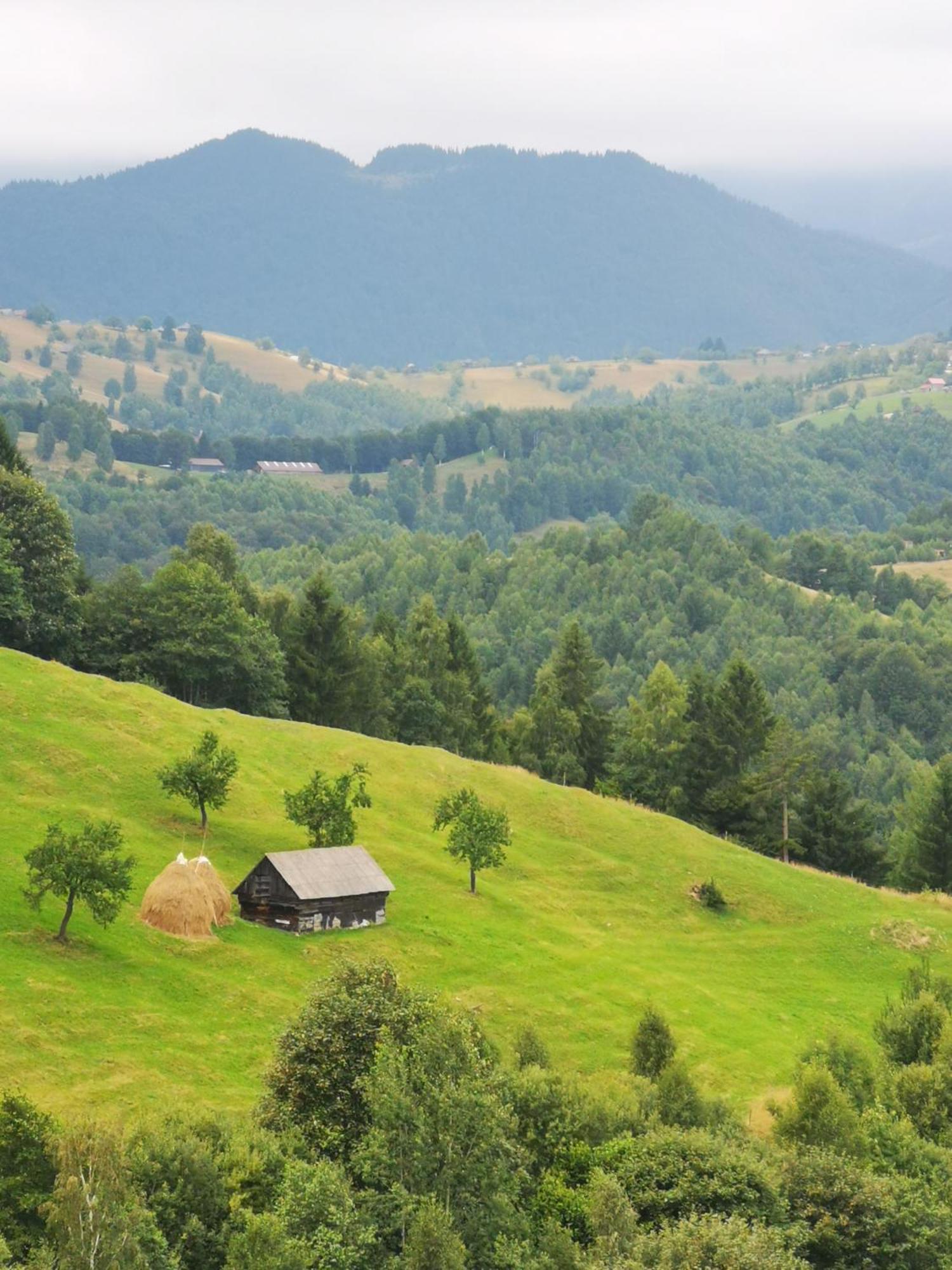 Glamping Zazen Hotel Drumu Carului Exterior foto