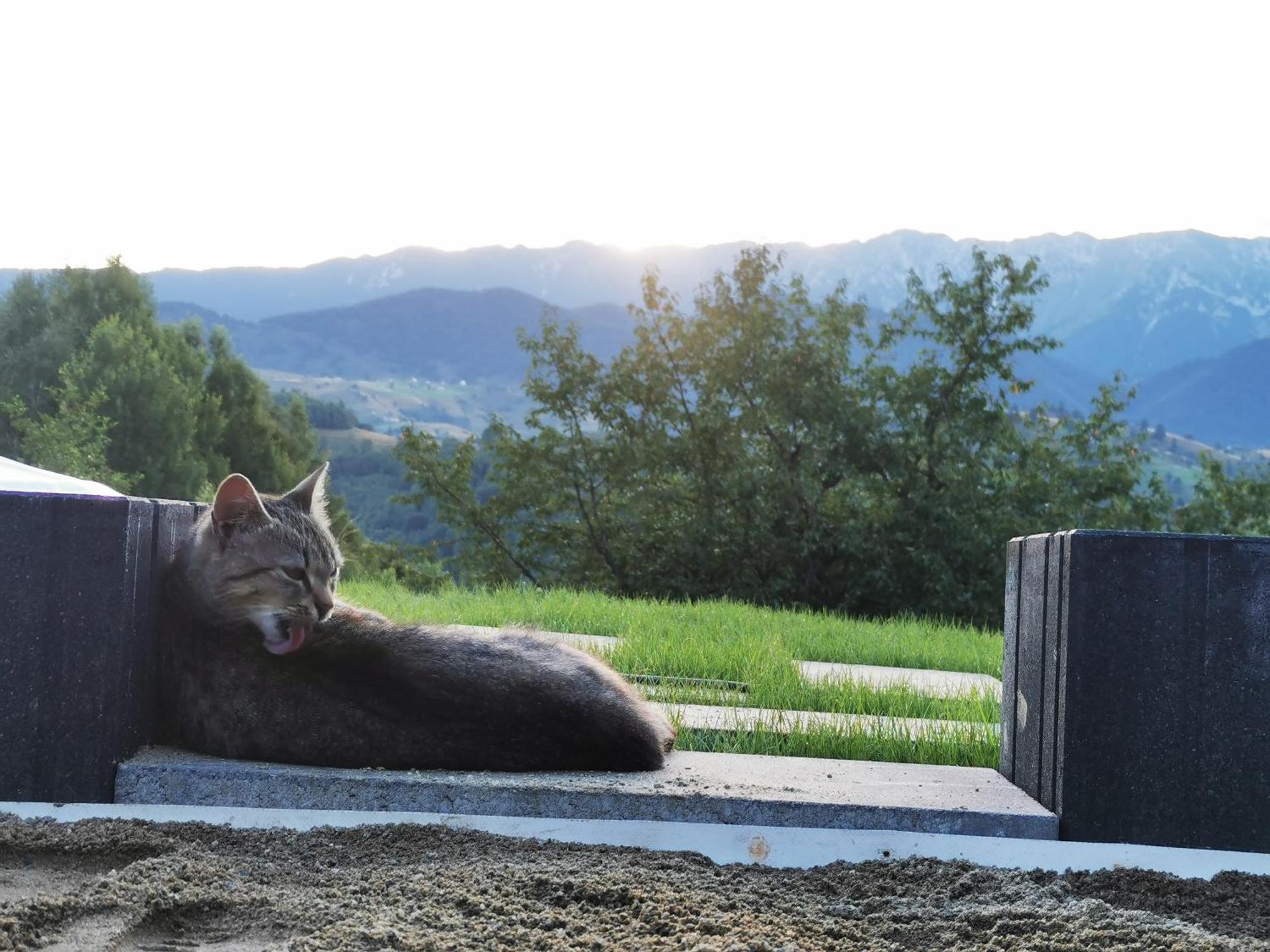 Glamping Zazen Hotel Drumu Carului Exterior foto