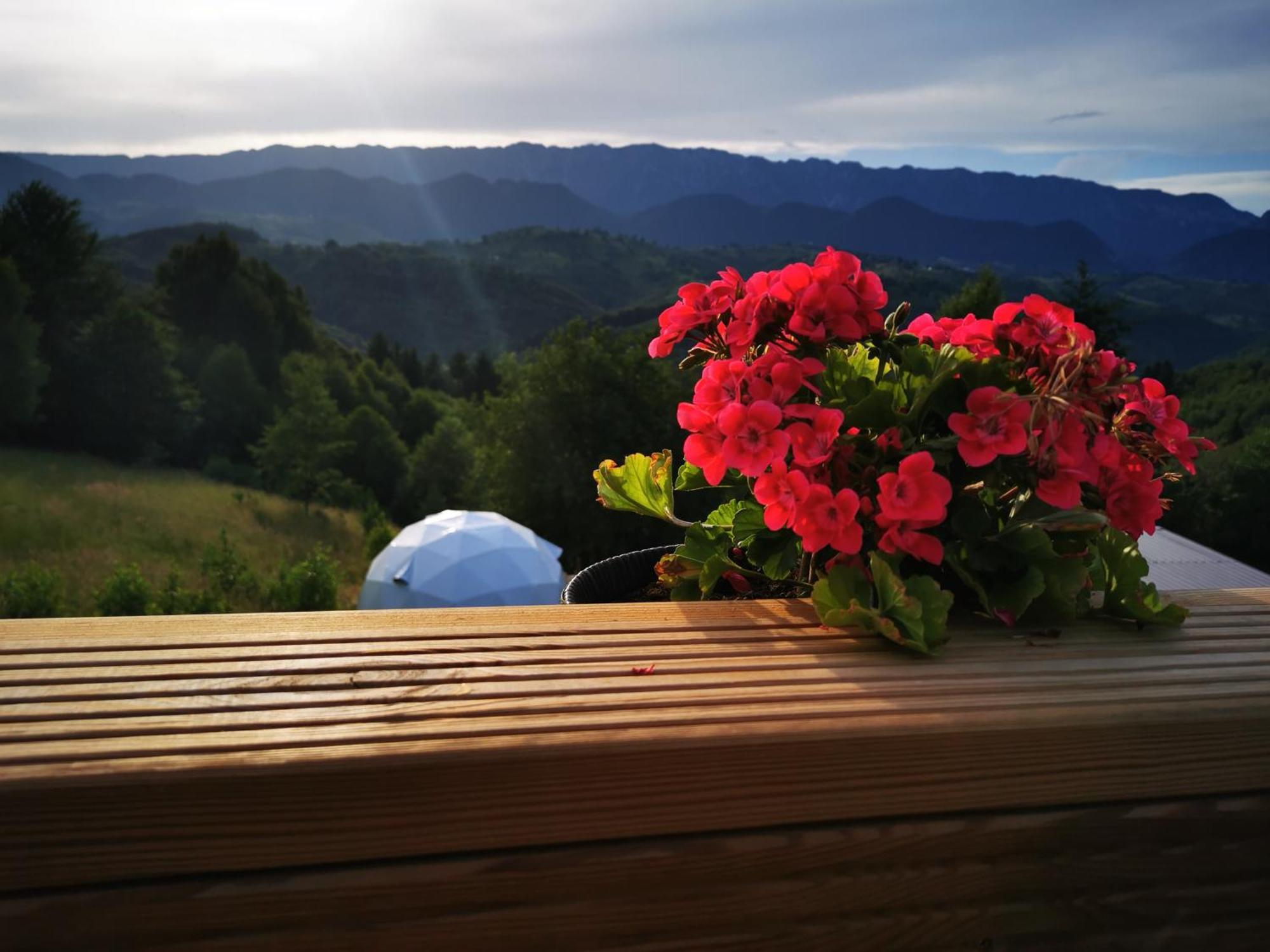 Glamping Zazen Hotel Drumu Carului Exterior foto